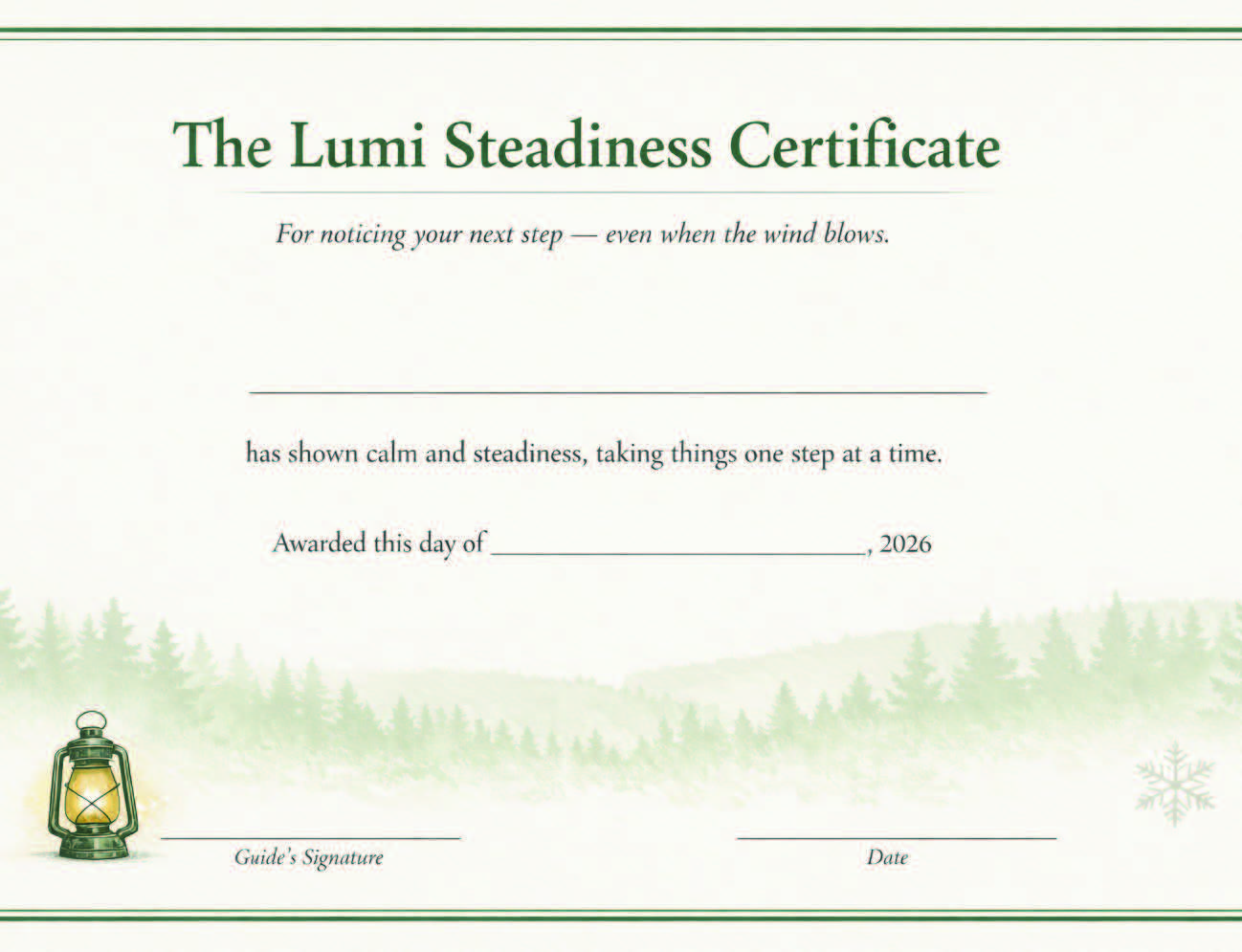 Lumi Steadiness Certificate preview
